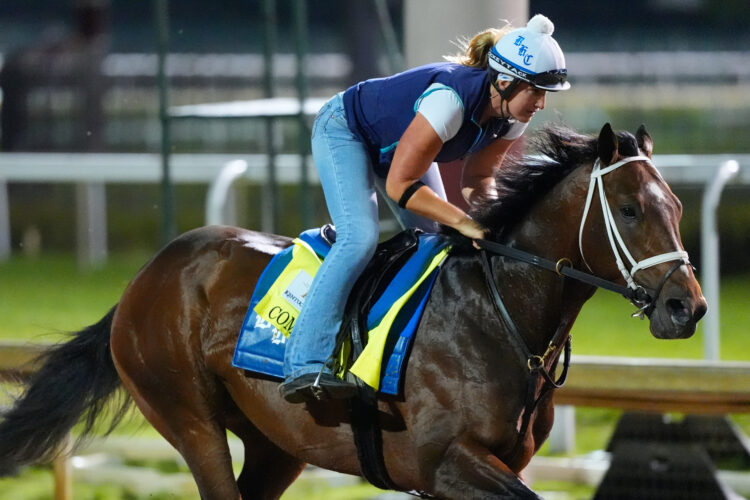 Plenty of contenders at Kentucky Derby